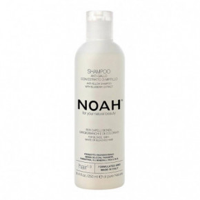 Noah 1.9 Anti-Yellow Shampoo Geltonus atspalvius neutralizuojantis šampūnas
