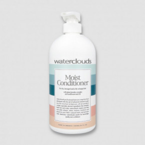 Waterclouds Moist Conditioner Drėkinamasis plaukų kondicionierius 1000ml