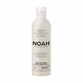 Noah 1.9 Anti-Yellow Shampoo With Blueberry Extract Neutraliseeriv šampoon 250ml
