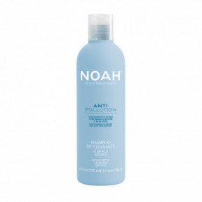Noah Anti Pollution Detox Shampoo Valomasis-drėkinamasis šampūnas su alijošiaus ir aliejinės moringos ekstraktais 250ml