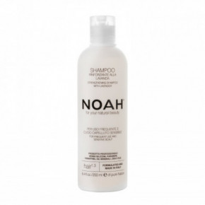 Noah Strengthening Shampoo With Lavender Šampūnas kasdieniam naudojimui, jautriai galvos odai 250ml