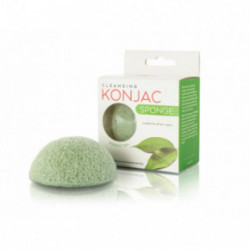 Active Line Beauty Konjac Sponge Natūrali veido kempinėlė su žaliąja arbata