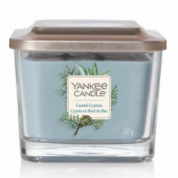 Yankee Candle ELEVATION JAR COASTAL CYPRESS Originali pakuote