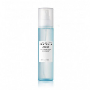 SKIN1004 Madagascar Centella Hyalu-Cica Cloudy Mist Veido dulksna 120ml