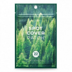 SKIN1004 Spot Cover Patch Pleistriukai spuogams 22 vnt.