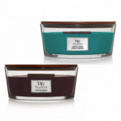 WoodWick Spiced Blackberry + Juniper & Spruce Žvakių rinkinys