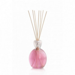 Mr&Mrs Fragrance Queen 02 Reed Diffuser Namų kvapas - difuzorius 500ml