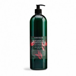 Waterclouds Botanical Conditioner Toide palsam 1000ml