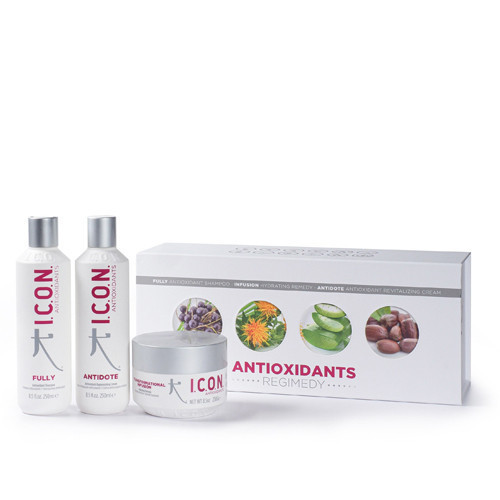 I.C.O.N. Antioxidants Plaukus atstatantis rinkinys