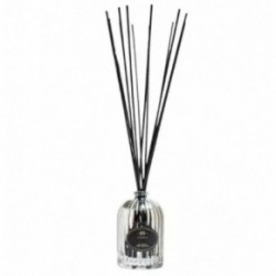 Aromatic 89 Retro Collection Reed Diffuser Namų kvapas su lazdelėmis 250ml