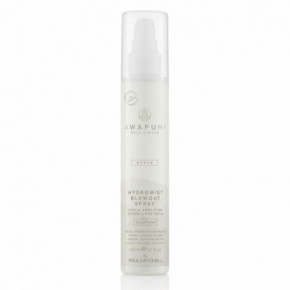 Paul Mitchell Awapuhi Wild Ginger Hydromist Blow-Out Spray Drėkinantis fenavimo losjonas 150ml