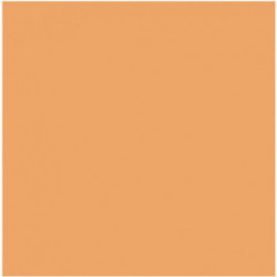 EVAGARDEN Nude Light Foundation Makiažo pagrindas 30ml