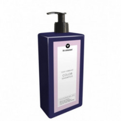 HH Simonsen Stay Vibrant Color Shampoo Šampūnas dažytiems plaukams 250ml