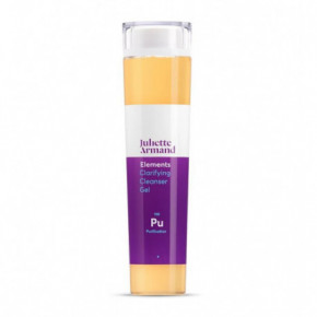 Juliette Armand Elements Clarifying Cleanser Gel Puhastav näogeel 210ml