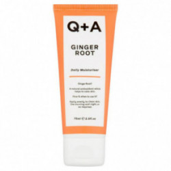 Q+A Ginger Root Daily Moisturiser Kasdienis drėkinamasis kremas 75ml