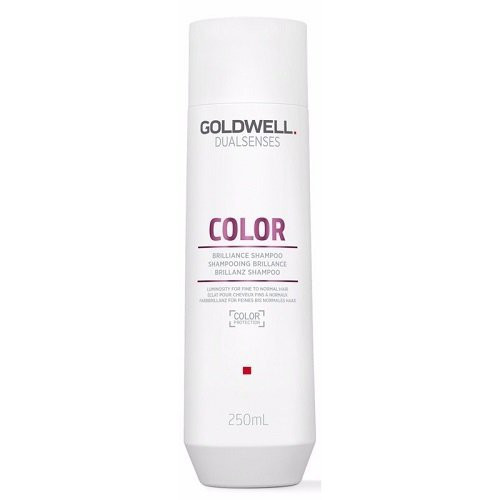 Goldwell Dualsenses Color Brilliance Shampoo Šampūnas dažytiems plaukams 250ml