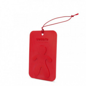 Mr&Mrs Fragrance Cesare Scented Card Auto kvapas Peppermint