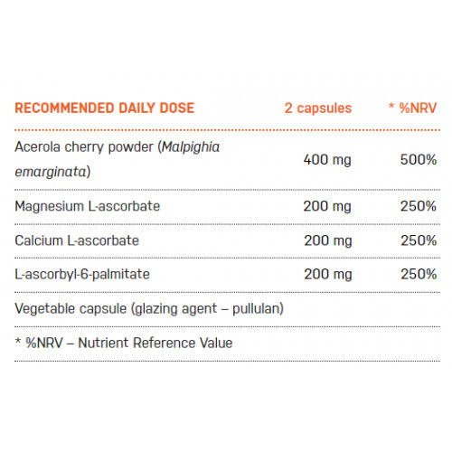 Ecosh Vitamin C Vitaminas C su erškėtuogėmis 90 kapsulių