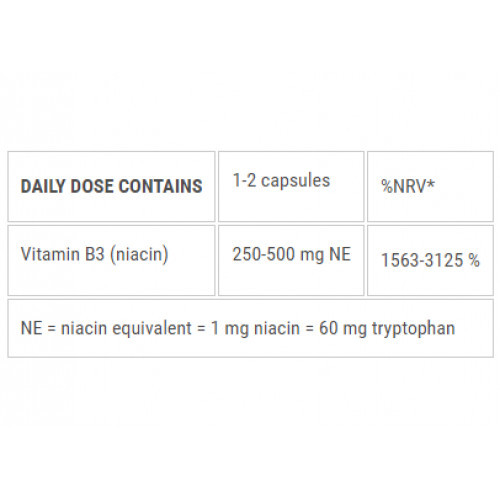 Ecosh Niacine Supplement Vitaminas B3 250mg NE 90 kapsulių