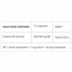 Ecosh Niacine Supplement Vitaminas B3 250mg NE 90 kapsulių