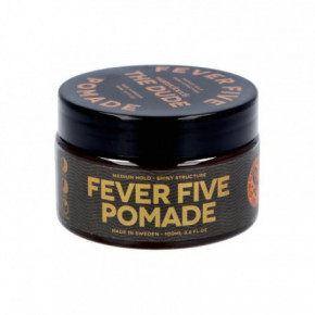 Waterclouds The Dude Fever Five Pomade stiliseerimiskreem juustele 100ml