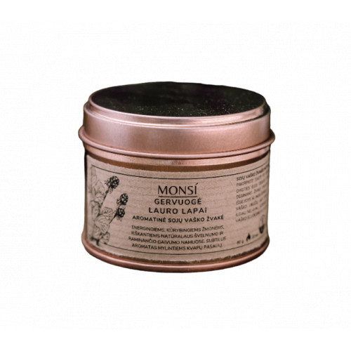 Monsi Aromatic Candle Blackberry With Bay Leaf Aromatinė žvakė Gervuogė ir lauro lapas 100ml