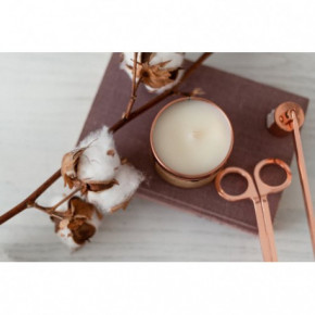 Monsi Aromatic Candle Black Amber With Wild Violet Aromātiskā svece Melnais dzintars un vijolīte 250ml