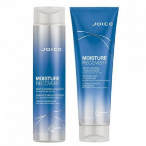 Joico Komplekt: Moisture Recovery Šampoon ja juuksepalsam (300+250ml)