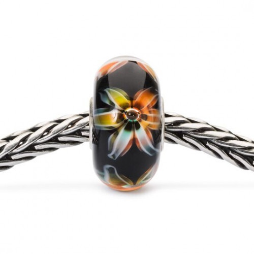 Trollbeads Apsaugok Save 1vnt.