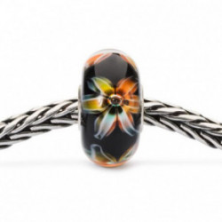 Trollbeads Apsaugok Save 1vnt.