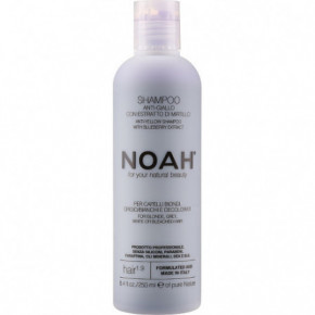 Noah 1.9 Anti-Yellow Shampoo With Blueberry Extract 250ml