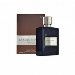 Mauboussin Pour Lui Parfumuotas vanduo vyrams 100ml, Originali pakuote