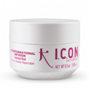 I.C.O.N. Transformational Infusion Toitev juuksemask 250ml