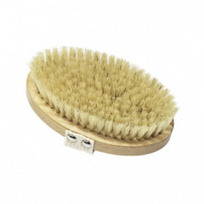 Nuum Cosmetics Dry Exfoliating Body Brush Vidēja stipruma masāžas ķermeņa birste 1gab.