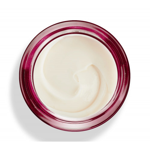 KORFF Supreme Pro Matt Face Cream Atkuriamasis, matinis veido kremas 50ml