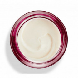 KORFF Supreme Pro Matt Face Cream Atkuriamasis, matinis veido kremas 50ml