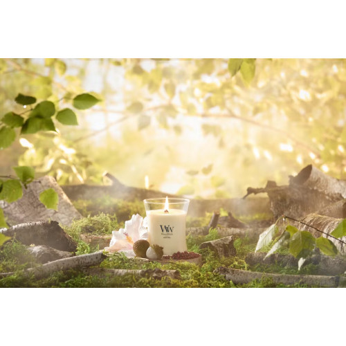 WoodWick Solar Haze Candle Namų žvakė Medium