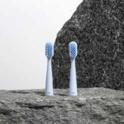 Alpine White Sonic Toothbrush Replacement Heads Keičiamos galvutės dantų šepetėliui 2vnt