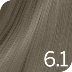 Revlon Professional Revlonissimo Colorsmetique Permanent Hair Color COOLS Profesionalūs plaukų dažai 60ml