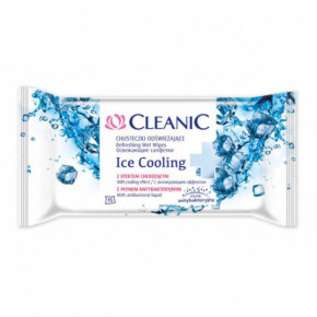 Cleanic Ice Cooling Wet Wipes Niisked salvrätikud 15 tk