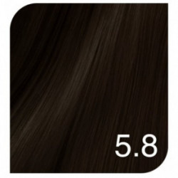 Revlon Professional Color Excel Gloss Acidic Gloss Treatment + Color Excel Gloss Energizer Plaukų dažai ir oksidacinė emulsija Rinkinys