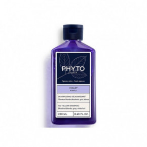Phyto Purple No Yellow Shampoo Šampūnas šviesintiems plaukams 250ml