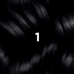 Phyto Permanent Hair Color Plaukų dažai be amoniako 1 Black