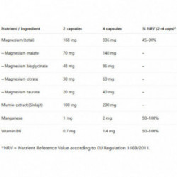 Ecosh Magnesium complex + Mumio Magnio kompleksas su mumijumi 90 kapsulių