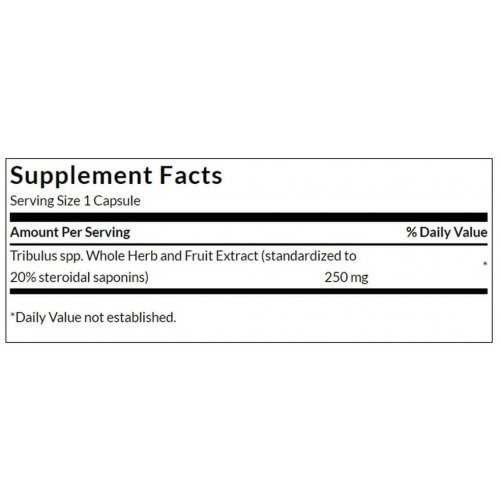 SWANSON Mega Tribulus Extract 250mg Testosterone Support Tribulus ekstraktas 120 kapsulių
