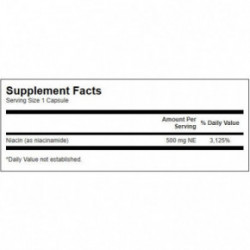 SWANSON Niacinamide 500mg Energy and Cardiovascular Support Vitaminas B3, niacinas 250 kapsulių