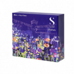 AlfaParf Milano SDL Holiday Blonde Gift Set Rinkinys šviesintiems plaukams