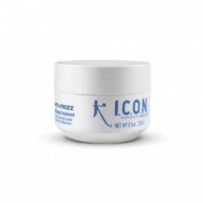 I.C.O.N. Anti-Frizz Conditioner-Treatment Kondicionierius 250ml