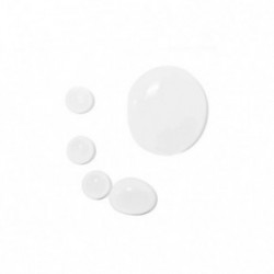 Transparent Lab Ascorbic C15 Face Serum Serumas su antioksidantais senstančiai veido odai 30ml