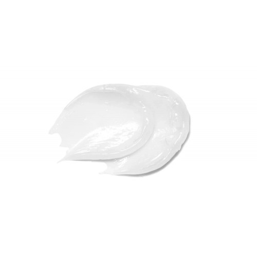 Transparent Lab Overnight Restoring Lip Treatment Atkurianti priemonė lūpoms 15ml